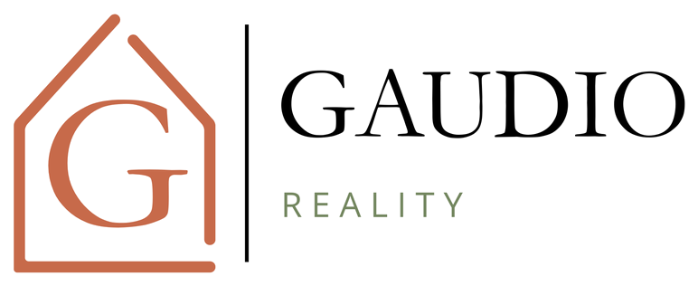 GAUDIO reality