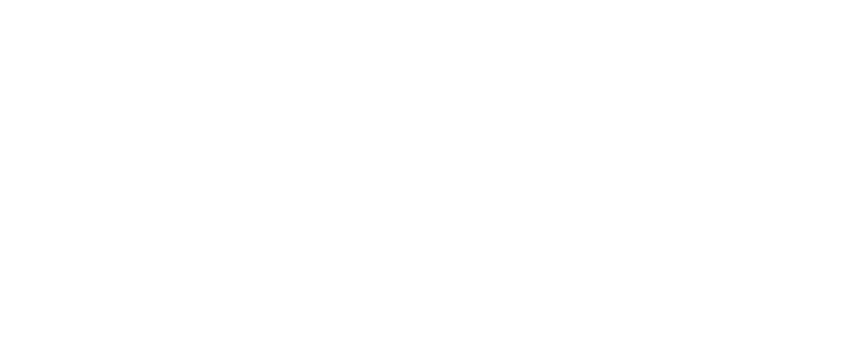 GAUDIO reality